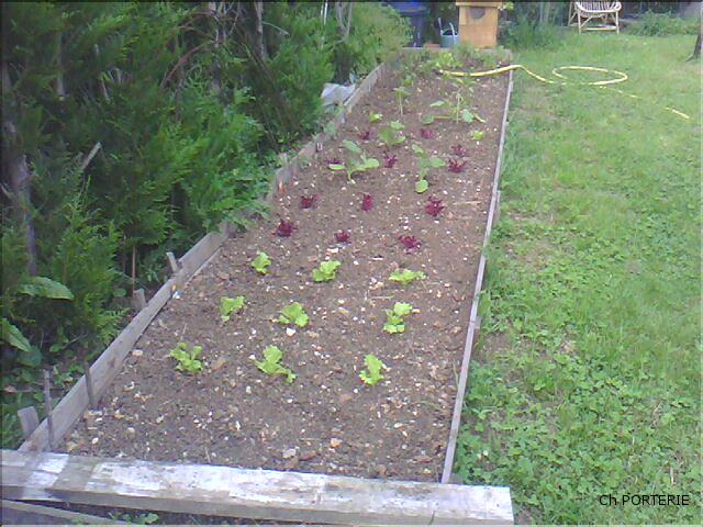 Potager-1